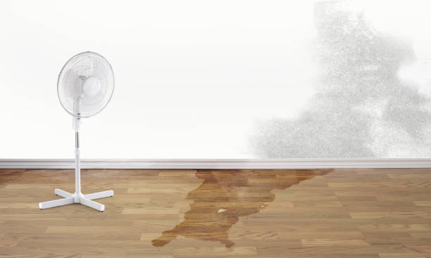 Best 24-hour water damage restoration  in Bren Arrow, OK