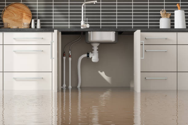 Best Flood damage cleanup  in Bren Arrow, OK